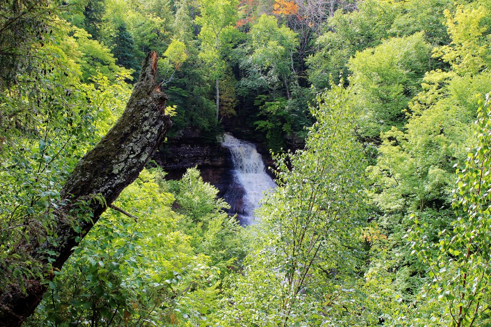 Chapel Falls surrounded by trees just begining to change color for the fall, Michigan Upper Peninsula