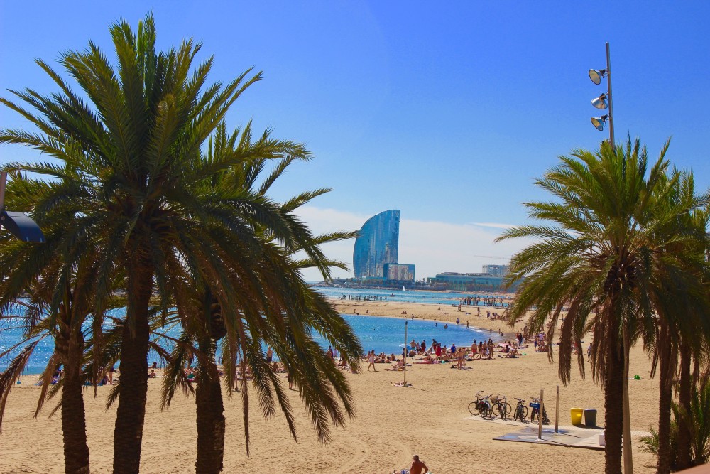 View of Barcelona beach through palm trees with blue skies