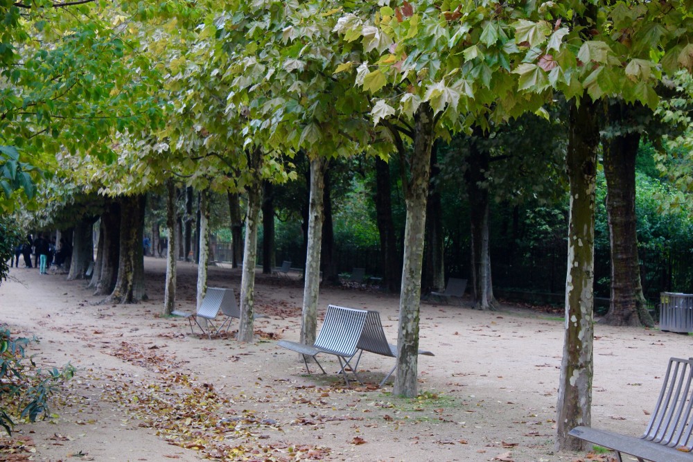 Empty benches and paths on a chilly fall day  at the Jardin des Plantes in Paris, France