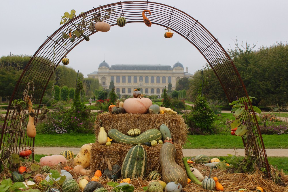 Jardin des Plantes decorated for fall with haystacks and gourds in Paris, France