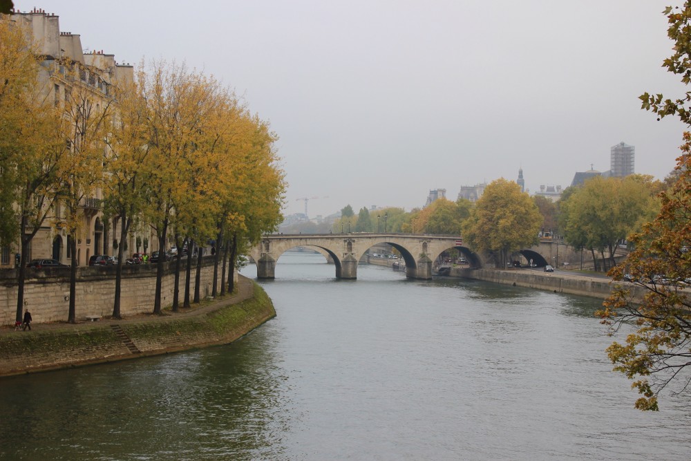 Light colored buildings with black roofs and trees with yellow leaves line the River Seine in Paris, France with a bridge 