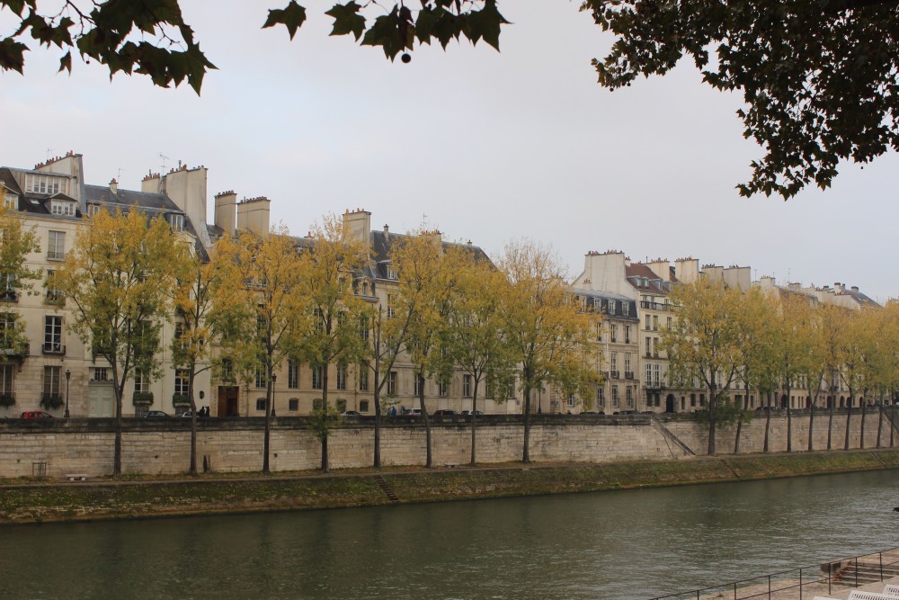 Light colored buildings with black roofs and trees with yellow leaves line the River Seine in Paris, France