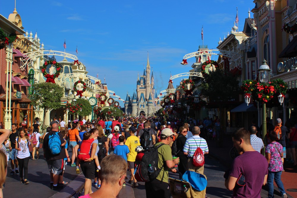 Magic Kingdom, crowds in front of the castle