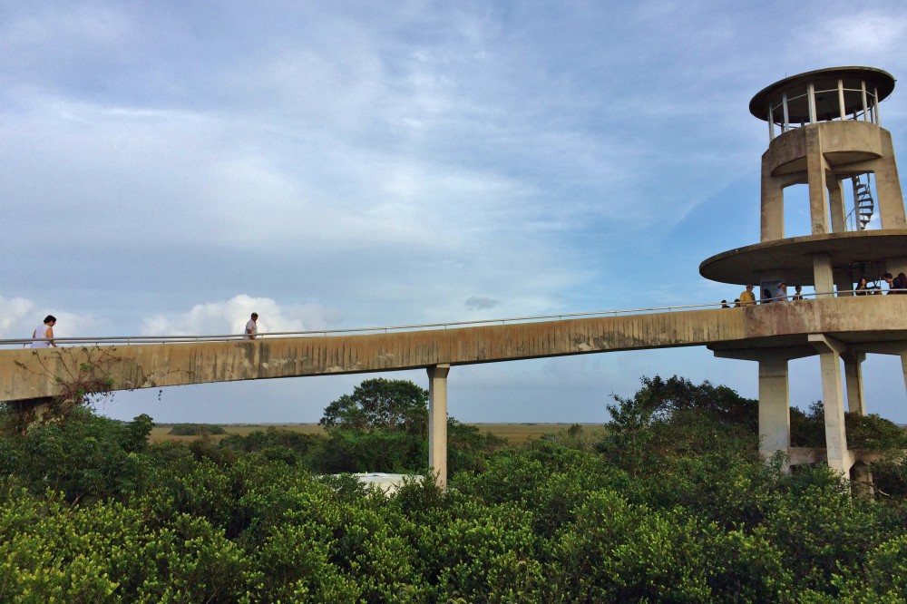 Concrete ramp to a tall overlook in the everglades