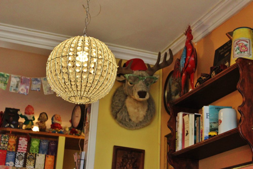 Cafe Babalu decor with stuffed toy moose with glasses