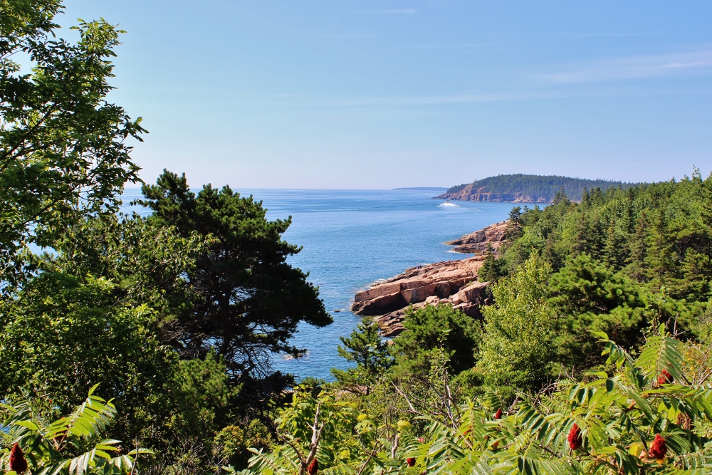 The Ocean Path Trail in Acadia National Park
