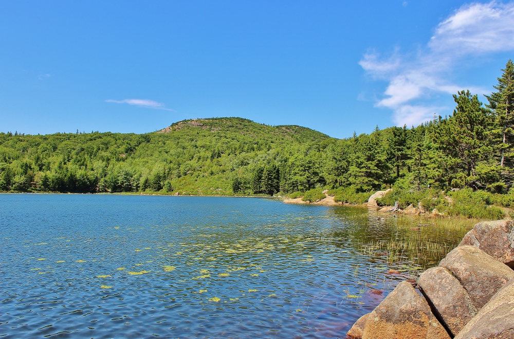The Bowl Trail in Acadia National Park