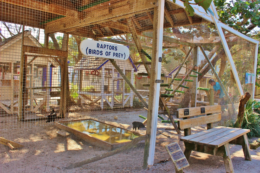 Seaside Seabird Sanctuary Raptors