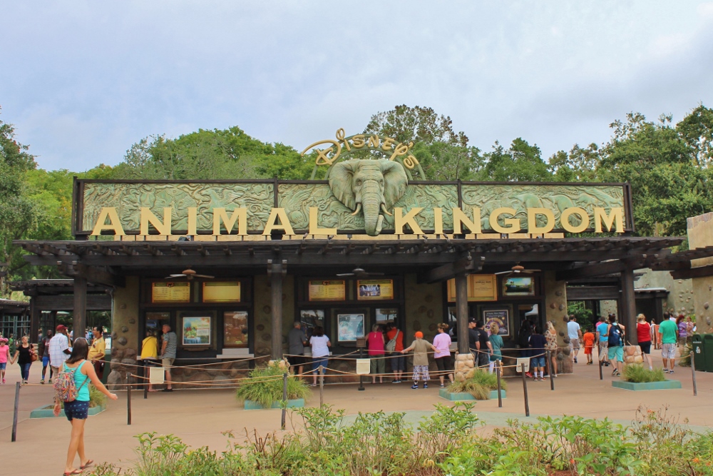Disney Animal Kingdom Entrance