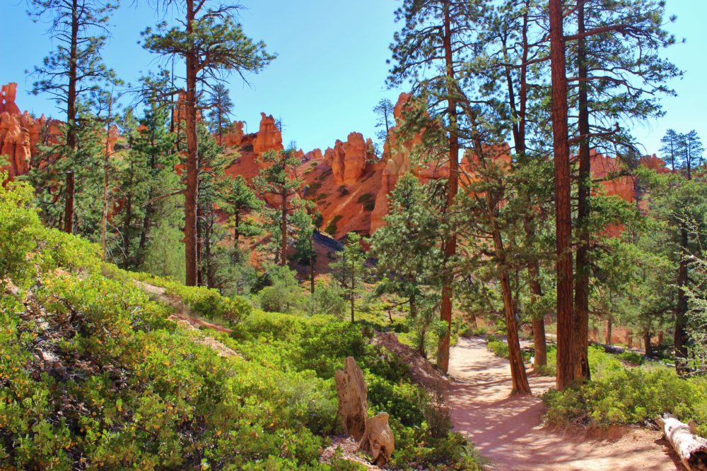 Bryce Canyon National Park: Queen's Garden