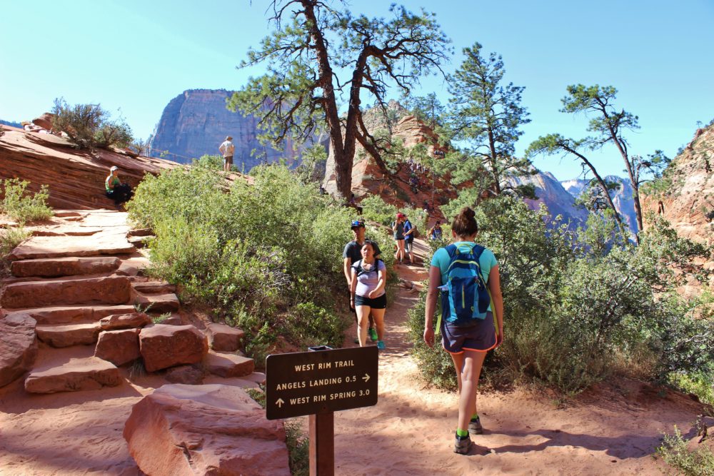 Zion National Park: Hike to Angel's Landing