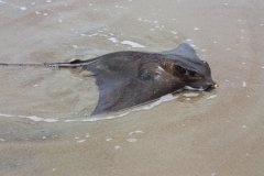 Cape Hatteras National Seashore