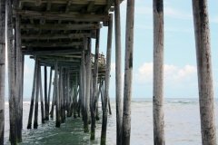Cape Hatteras National Seashore
