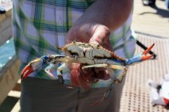 Cape Hatteras National Seashore