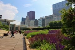 Lurie Garden