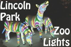 Lincoln Park Zoo Lights