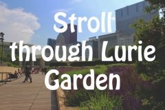 Stroll through Lurie Garden