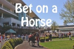 Bet on a Horse