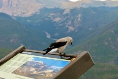 Rocky Mountain National Park