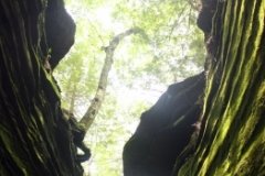 Cuyahoga Valley National Park