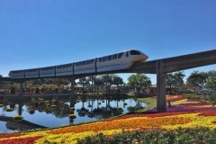 Disney World