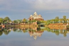 Animal Kingdom
