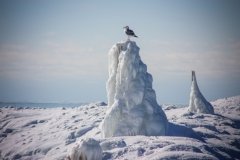 Lake Michigan Winter