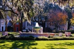 Savannah parks