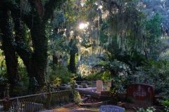Bonaventure Cemetery