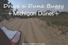 Go on a Dune Buggy Ride on the Michigan Dunes
