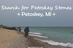 Search for Petoskey Stones in the Petoskey Area