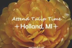 Attend Tulip Time in Holland, MI