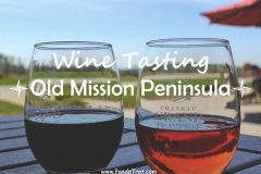 Go Wine Tasting on the Old Mission Peninsula