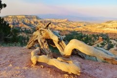 Bryce Canyon