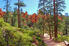 Bryce Canyon