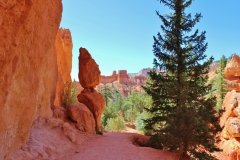 Bryce Canyon