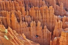 Bryce Canyon