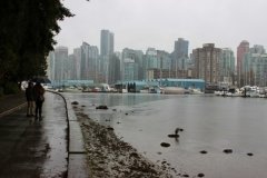 Stanley Park