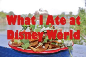 What I Ate at Disney World