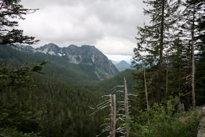 Mount Rainier National Park